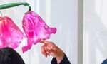 A man with blonde hair, a beard, and black-rimmed glasses is smiling while looking towards large, vibrant pink translucent flower-shaped sculptures. A hand is gently touching one of the petals.