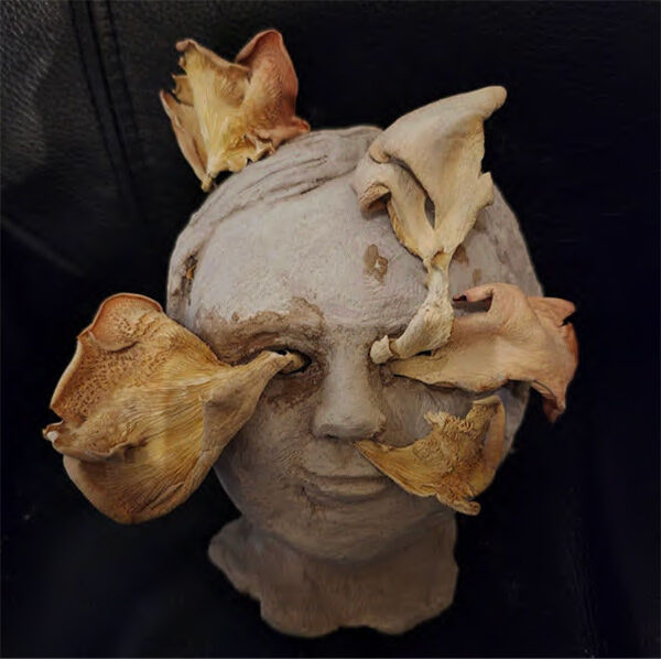 Work by Emily Taylor.
