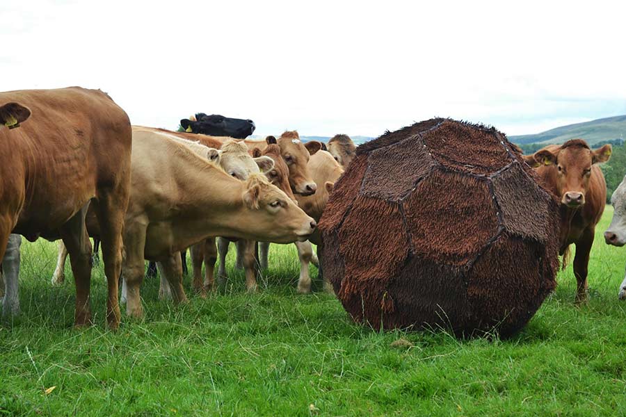 Final Major Project Submission by Laura Towle