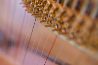 Harp close up
