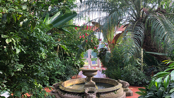Botanical Gardens Tropical House