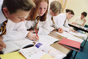 Pupils studying hard with our teacher trainers