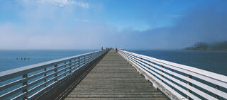 Structural Integrity pic