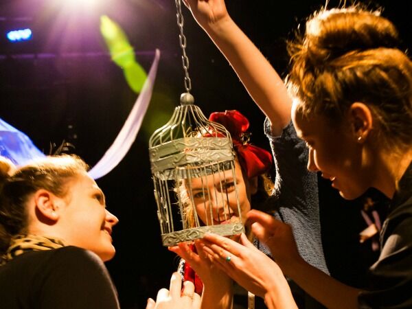 Do you see what I see 3