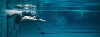 Elite swimmers' nutritional intake has been assessed to improve their performance