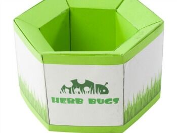 Herb Bugs Box