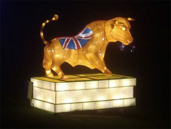 Bull light