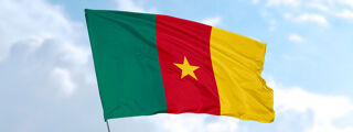Cameroon flag