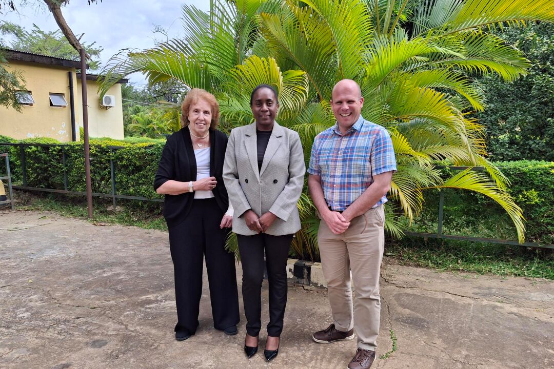 Three nursing professionals standing together in Zambia