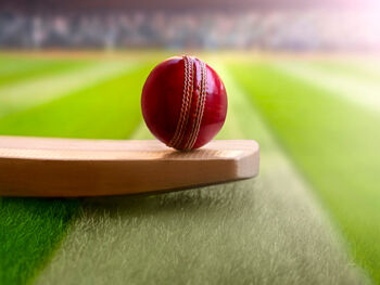 Cricket