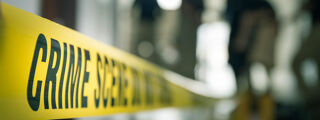 Crime and Criminals research strand