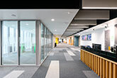 Curzon B