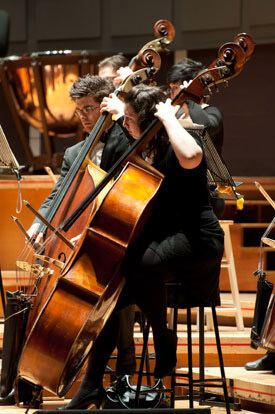 Double Bass Day