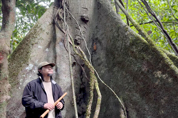 Man with bamboo flute standing in front of roots of huge tropical tree.