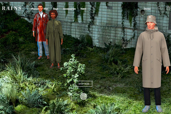 Screenshot of 'Rains' website, a final year student project