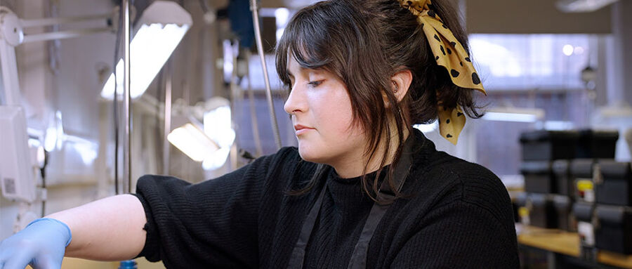 Bcu.Cict.CmsApi.Entities.Content.Corporate.Content.MediaItem?.AlternativeText