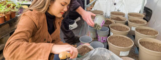 Student putting soil into plant pots