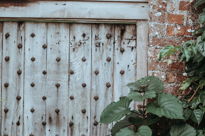 Old garden gate to a walled garden surrounded by plants and leaves