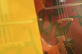 Close up of cello