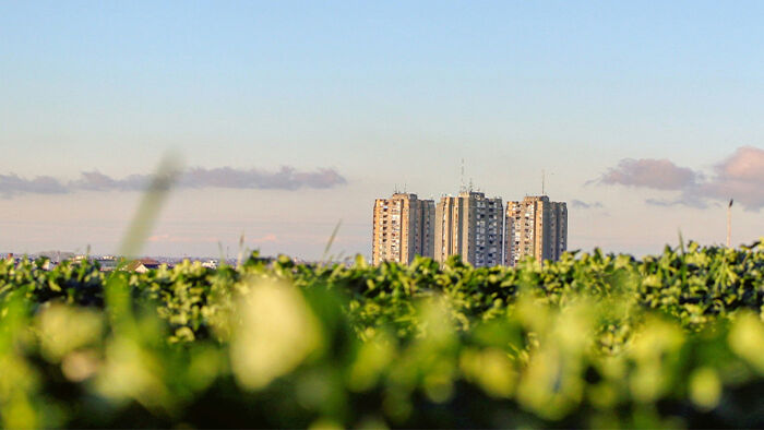 Green City