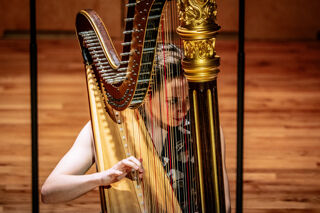 RBC harpist