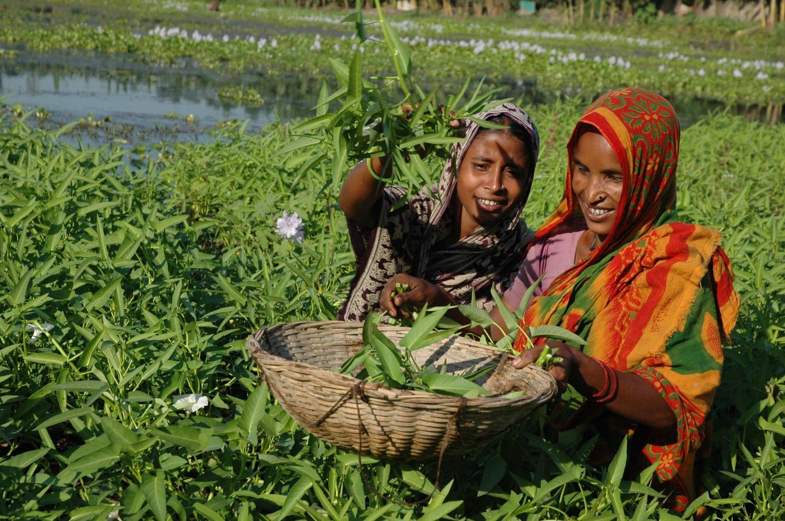 Farmers in field