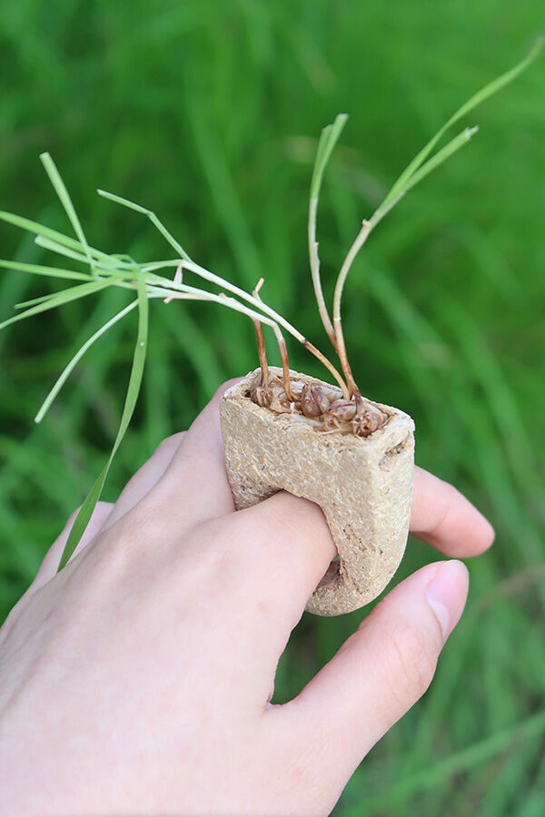 Jewellery and Objects student work -- ring with plant growing