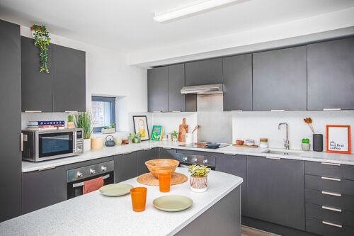 A shared kitchen in Lakeside student accommodation. It has modern grey cabinets, a cooker and hob, microwave and sink in view. There are plants and coloured kitchenware around making it look lived in