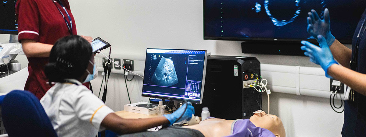 Students looking at an ultrasound scan on a computer