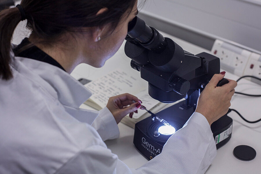 Assay-Office-facilities