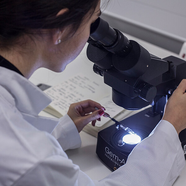 Assay-Office-facilities