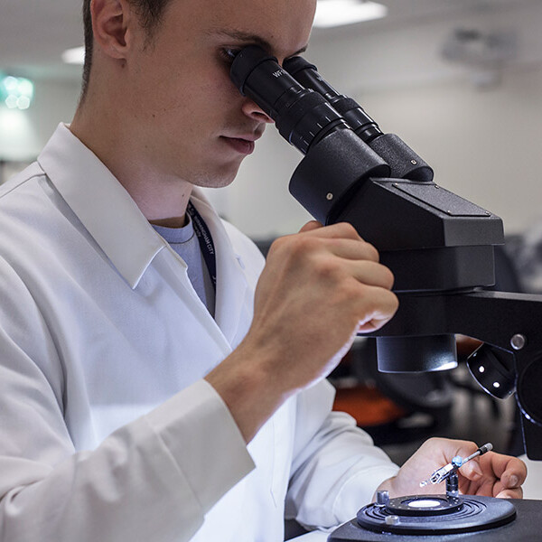 Assay-Office-facilities