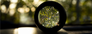 A glass lens looking out onto trees