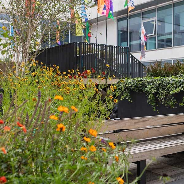 Parkside building courtyard