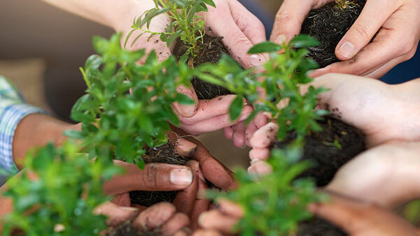 Plant Community hands