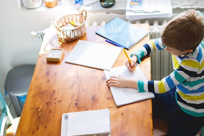 SEND homeschooling project secondary
