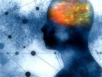 psychology cognitive behaviour news