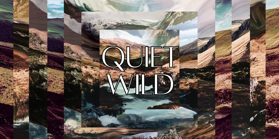 Quiet Wild album cover