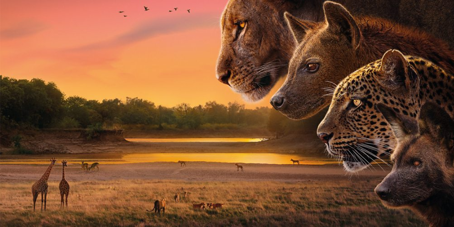Lion, wild dog, leopard and hyena, against a background of a savanna with giraffes and other wildlife in the distance.