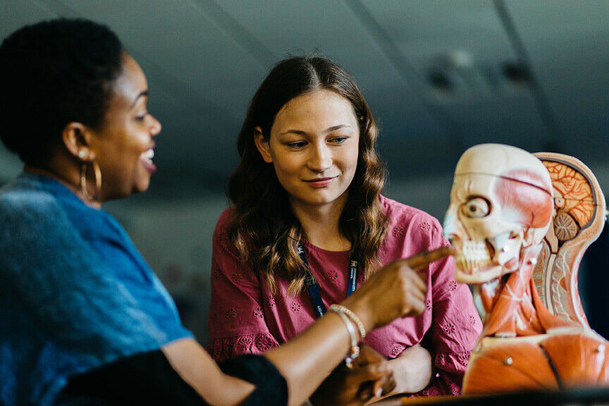 Speech and language therapy student sat with model of human throat and head