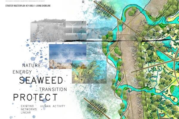 A moodboard of nature with a drawn map beside it