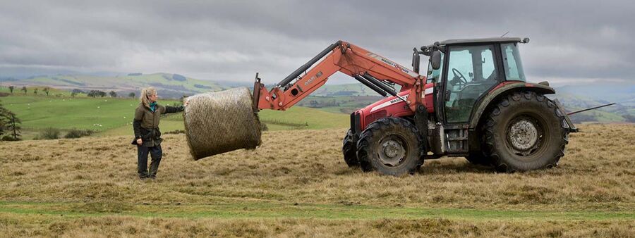 Bcu.Cict.CmsApi.Entities.Content.Corporate.Content.MediaItem?.AlternativeText