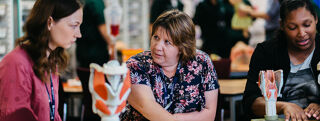 SLCN blog primary