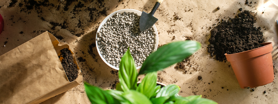 Bcu.Cict.CmsApi.Entities.Content.Corporate.Content.MediaItem?.AlternativeText