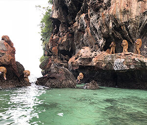 Tori Wranes - Krabi small