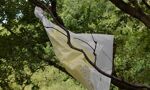 A plastic bag caught in a tree