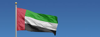 UAE flag