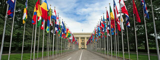 UN Geneva UPR project