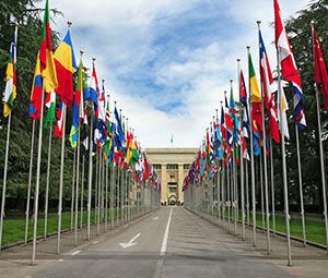 UN Geneva UPR project small