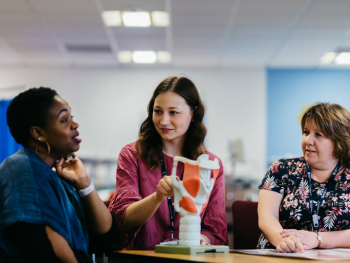 Three women sit at a table in discussion, with one woman pointing to a model of a human larynx and throat.